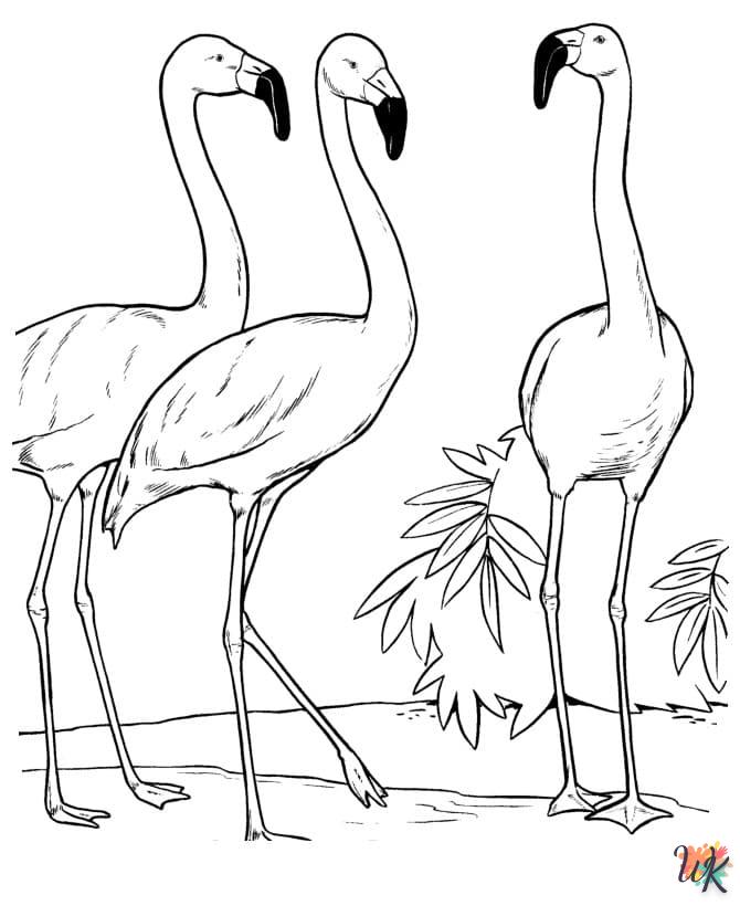 Kleurplaten Flamingo 9