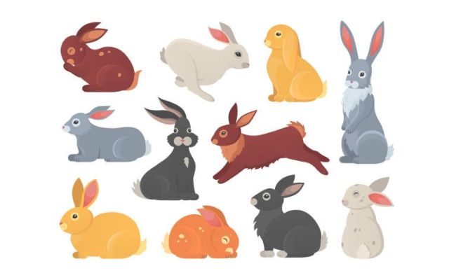 kleurplaten konijnen logo