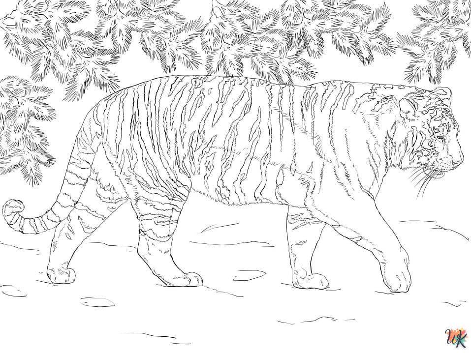 kleurplaten tijgers 14