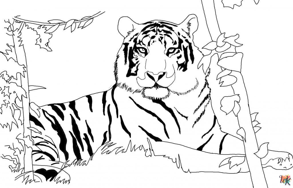 kleurplaten tijgers 16