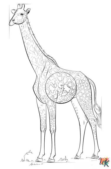 Giraffe tekenen8