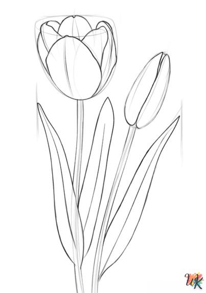 Tulip tekenen5