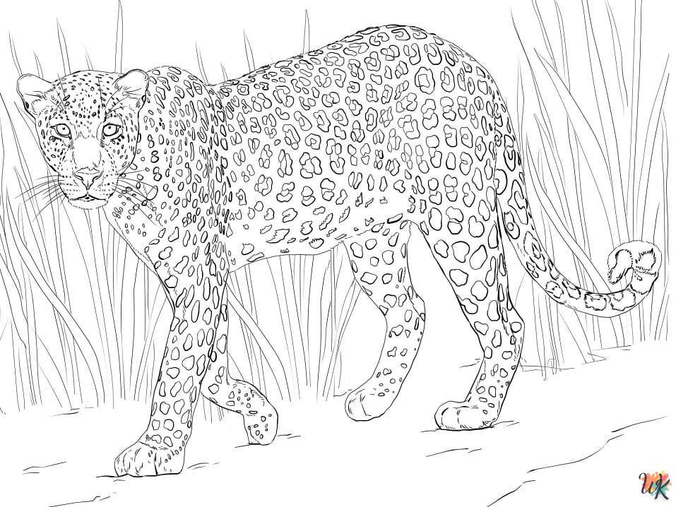 Leopard Kleurplaten2