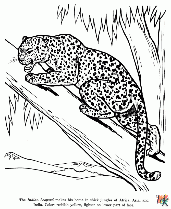 Leopard Kleurplaten43
