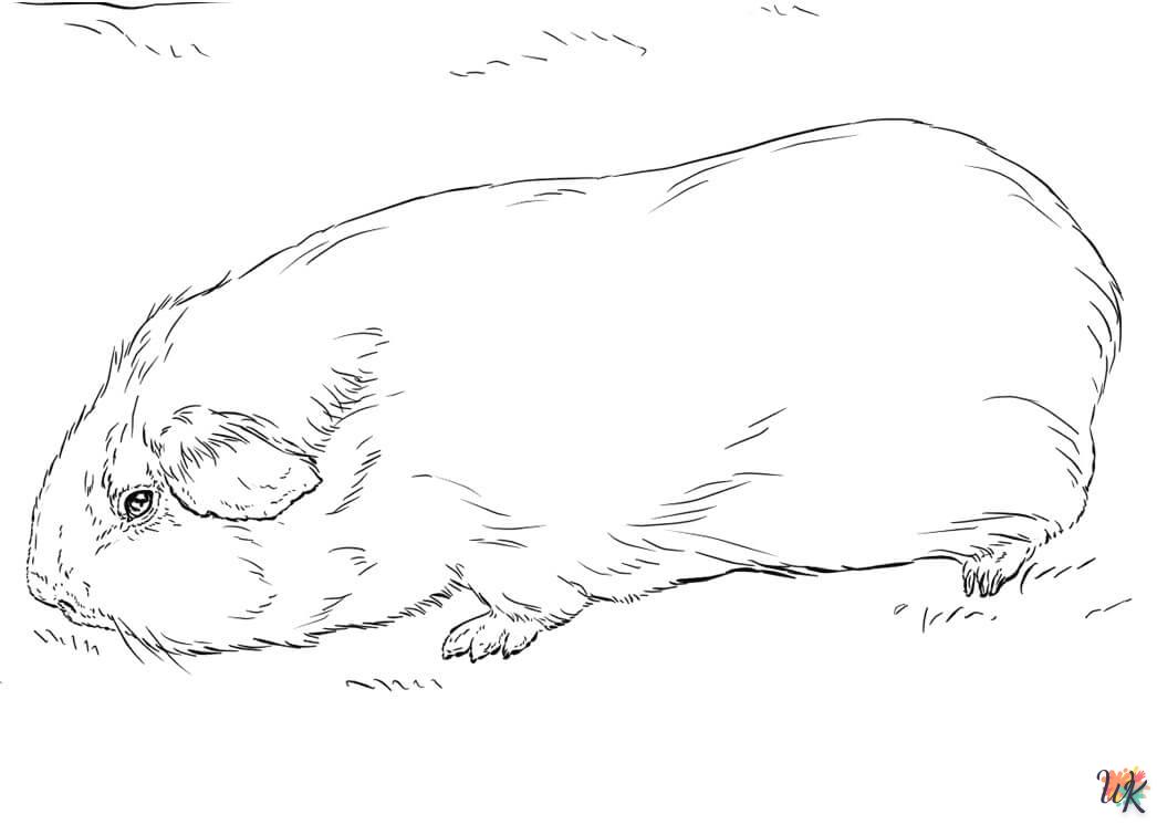 Cavia Kleurplaten1