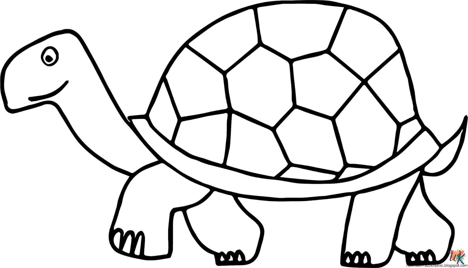 Schildpadden kleurplaten11