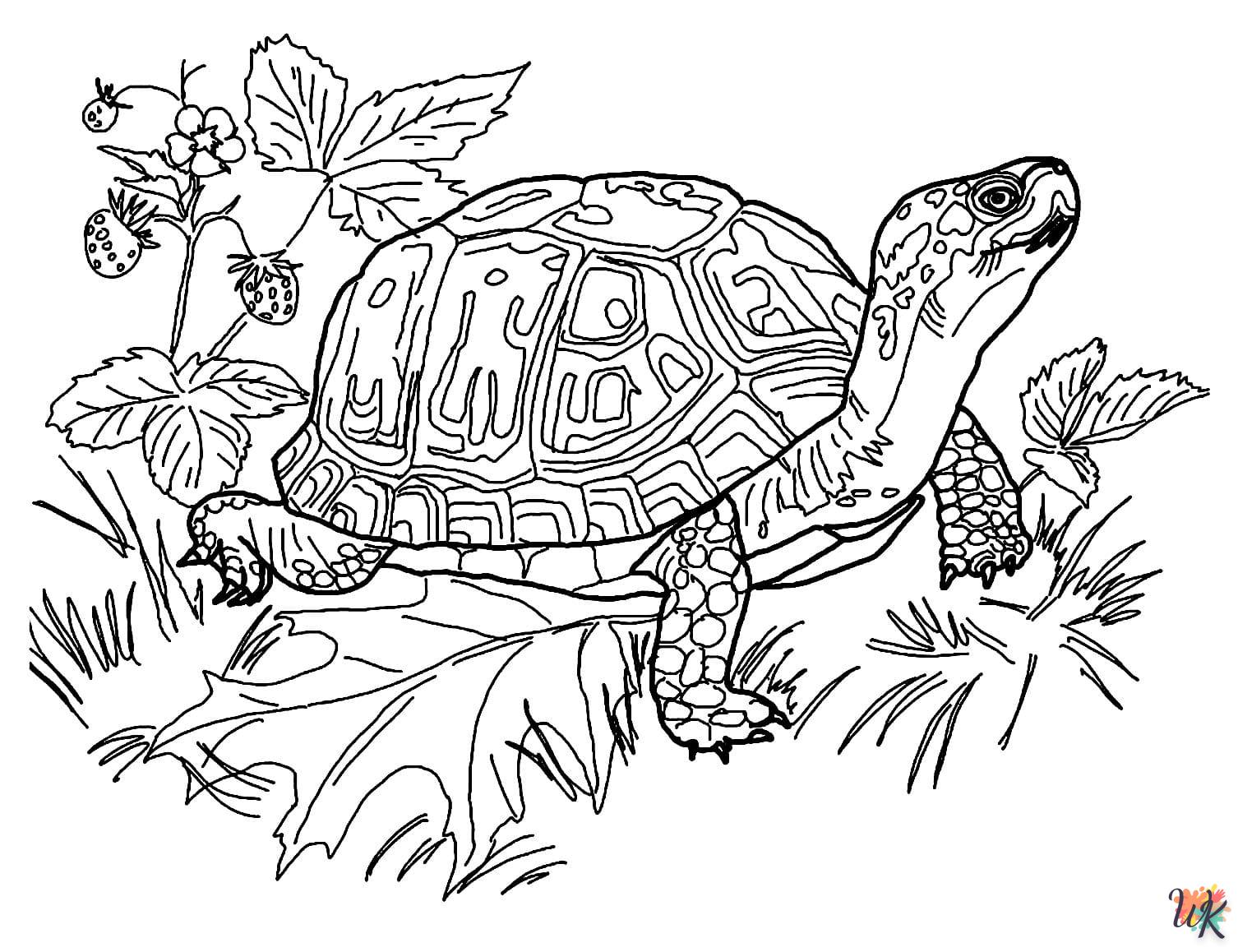 Schildpadden kleurplaten15