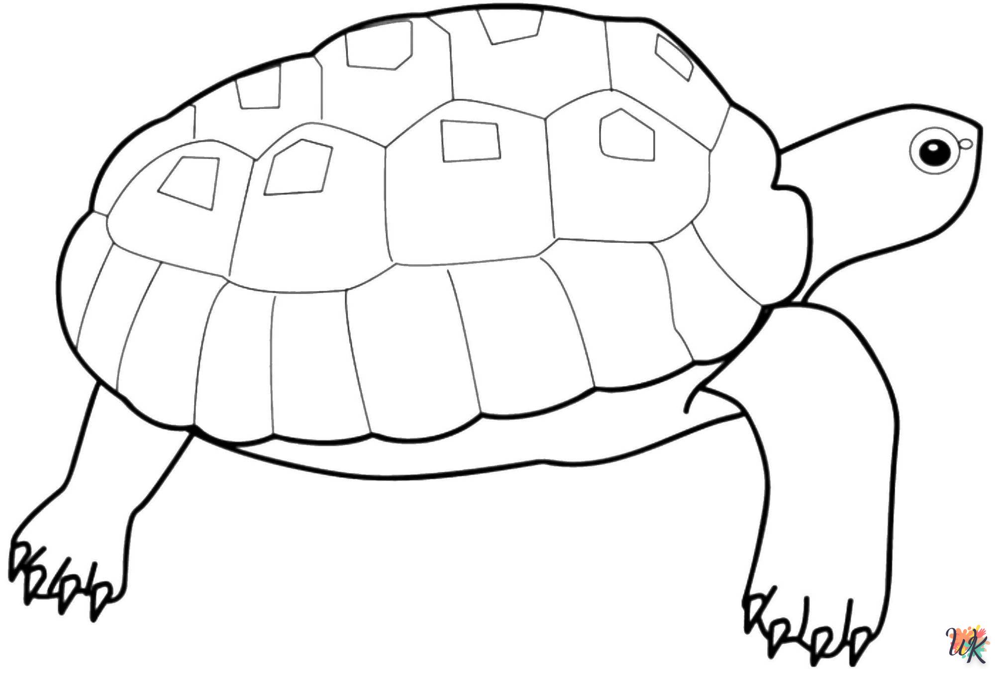 Schildpadden kleurplaten4
