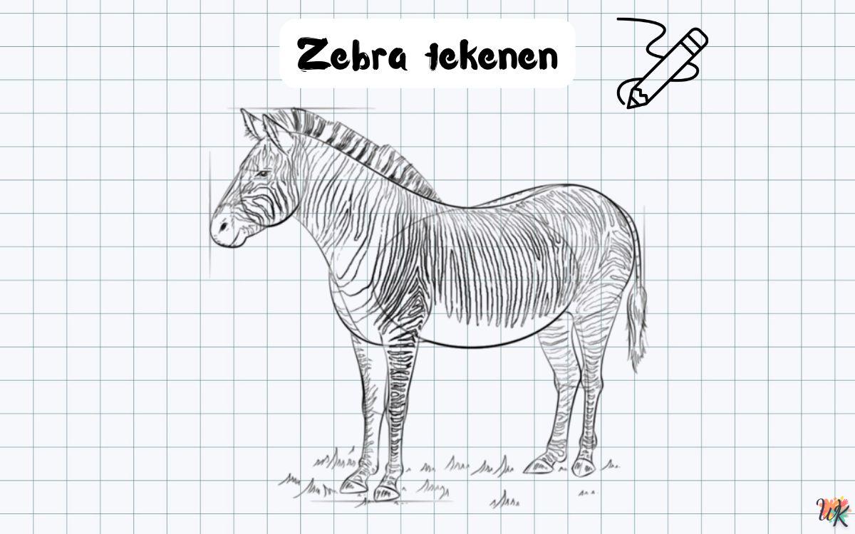 Zebra tekenen