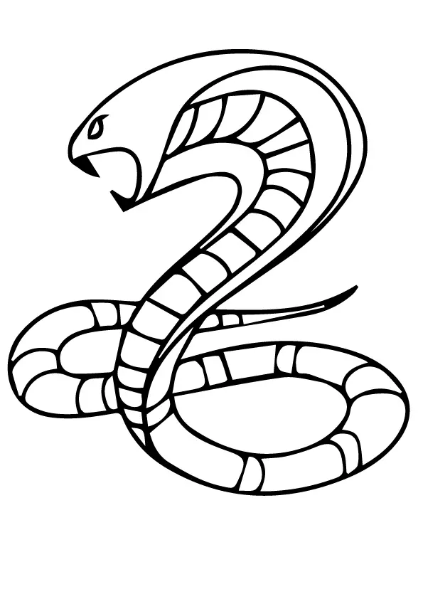 Slangen kleurplaten2.jpg