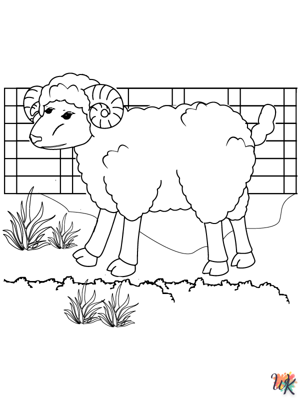 Schaap kleurplaten15