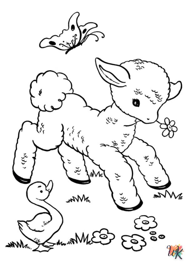 Schaap kleurplaten2