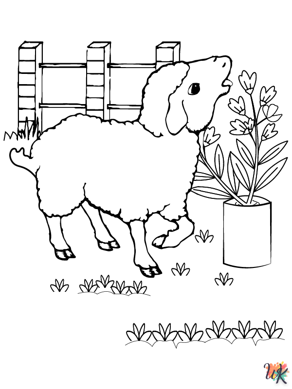 Schaap kleurplaten21