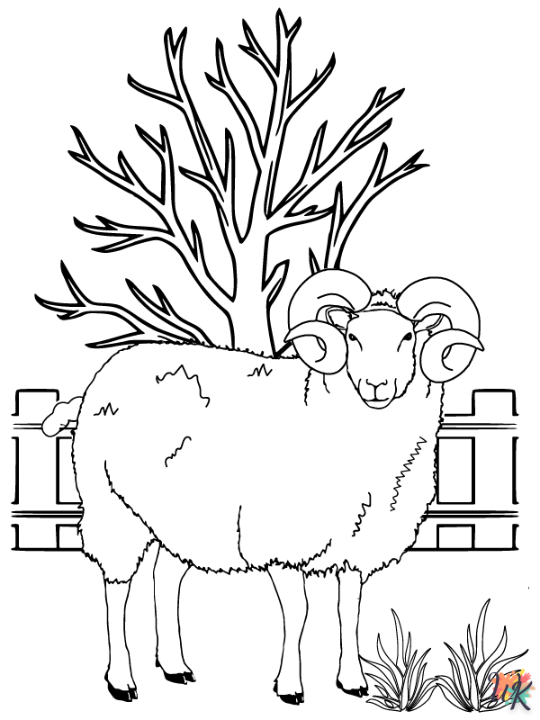 Schaap kleurplaten22