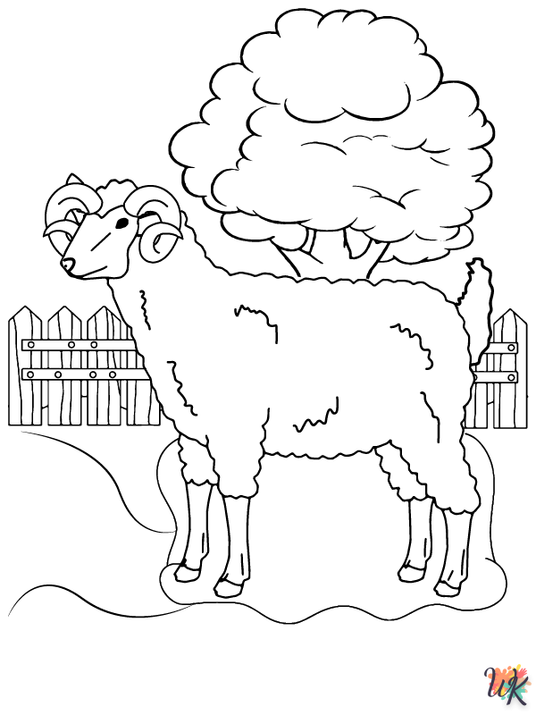Schaap kleurplaten23