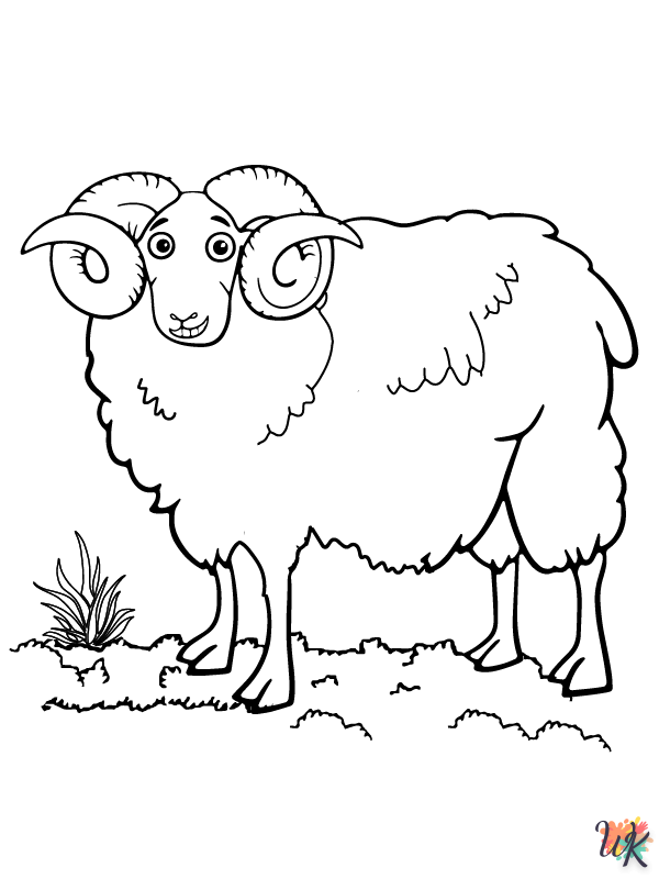 Schaap kleurplaten24
