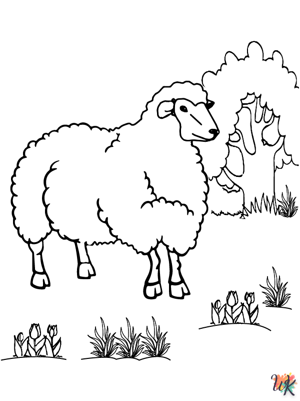 Schaap kleurplaten27